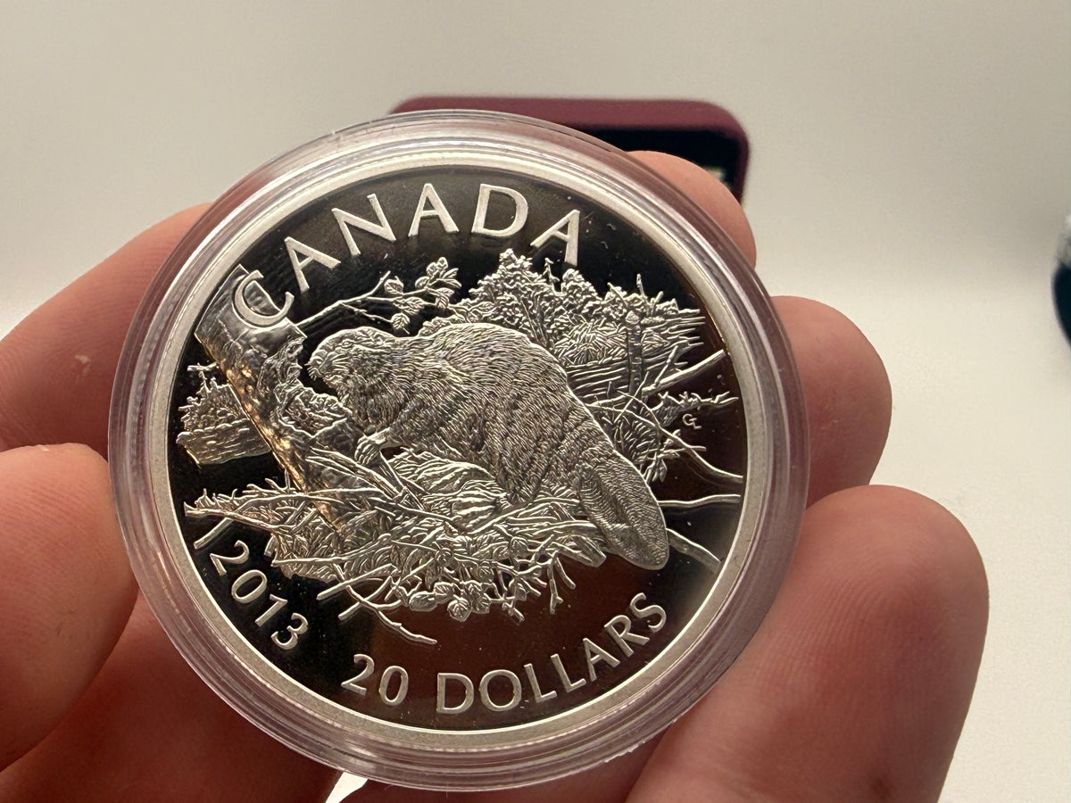 2013 Canada $20 fine silver Beaver coin by Glen Loates (view 3)