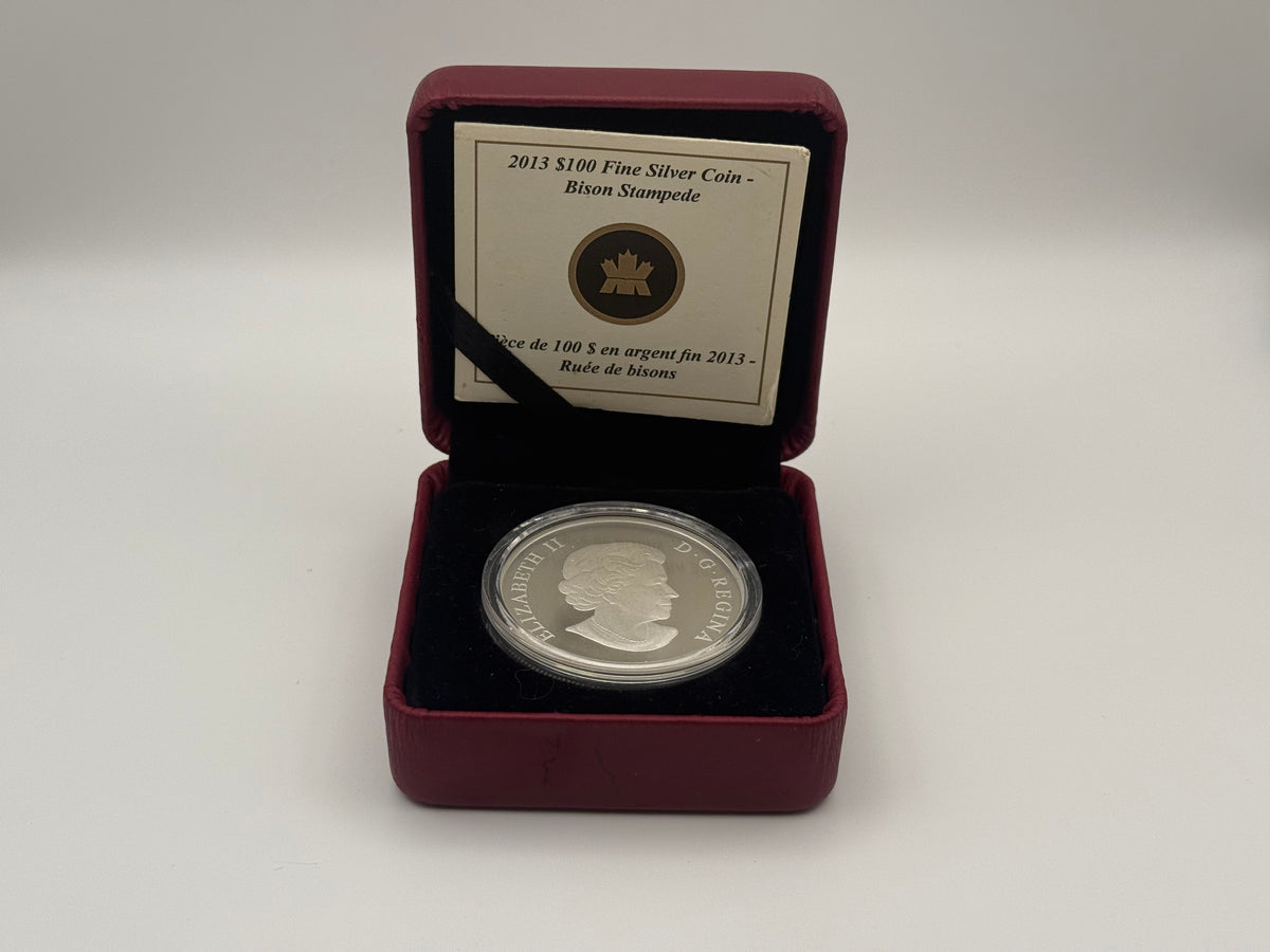 2013 Canada $100 fine silver coin, Bison Stampede design (view 2)